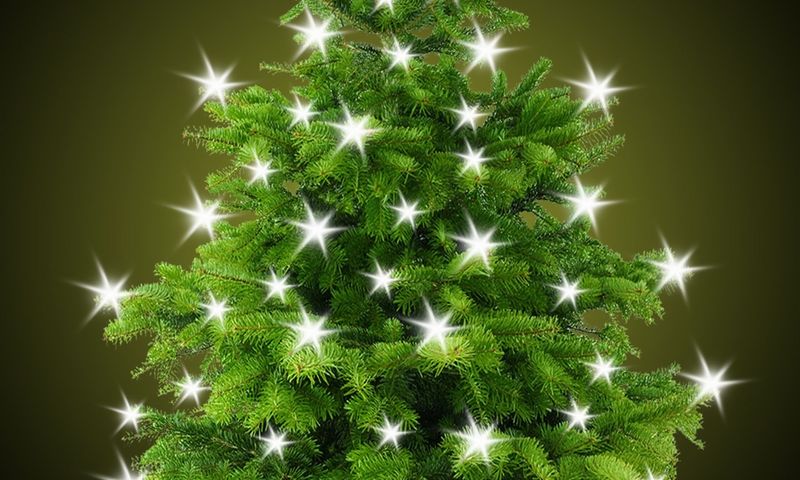 FineMayer by pixabay