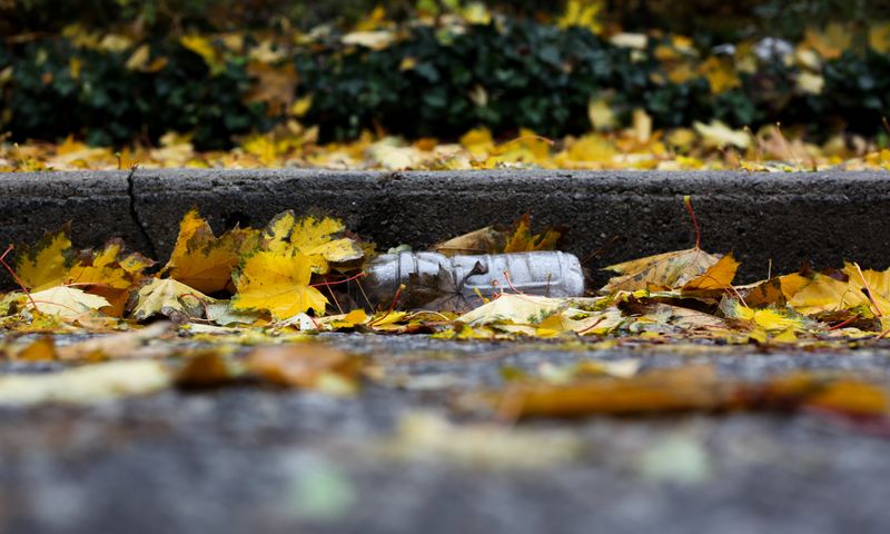 Jasmin Sessler on Unsplash