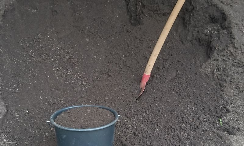 fertiger Kompost zur Verwendung im Garten - Foto: Öko-Service Thalheim