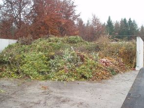 Strauchschnittsammlung im ASZ