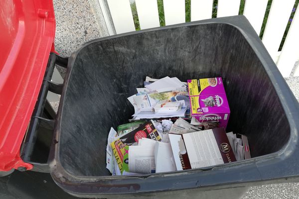 Inhalt "Meine rote Tonne"