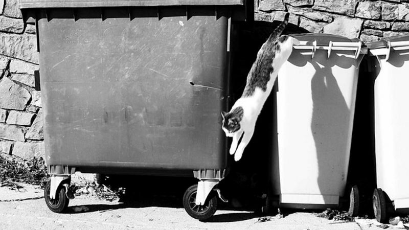 Bild von Mar auf Pixabay