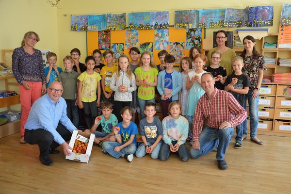 VS Walding, Bildquelle: Zauner Johann