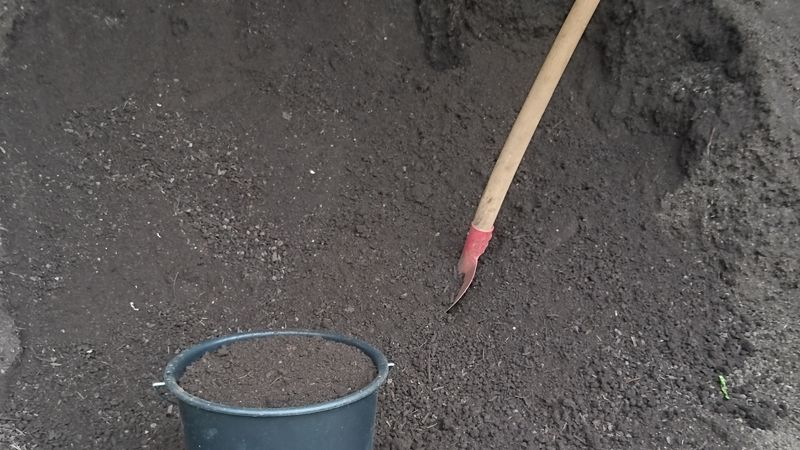 fertiger Kompost zur Verwendung im Garten - Foto: Öko-Service Thalheim