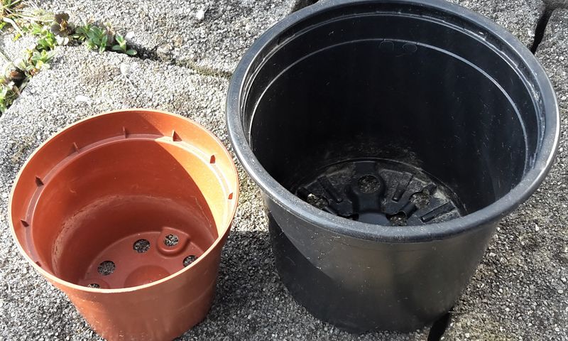 Abbildung Einweg-Kunststofftopf Abbildung Einweg-Kunststofftopf